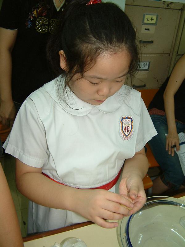 DSCF 060.jpg
